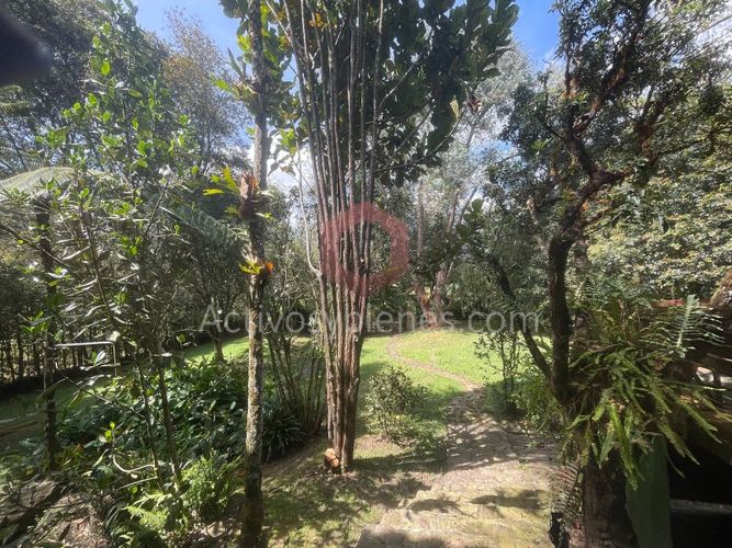 Casa de 4 alcobas en arriendo en Rionegro, 1690 m² · foto 9 de 24