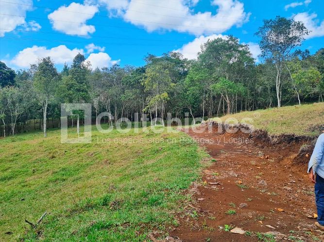 Lote en venta en La Hondita, Guarne, 10000 m² · foto 3 de 15
