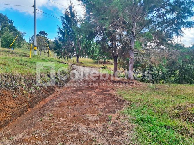 Lote en venta en La Hondita, Guarne, 10000 m² · foto 4 de 15
