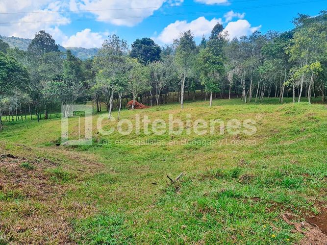 Lote en venta en La Hondita, Guarne, 10000 m² · foto 5 de 15