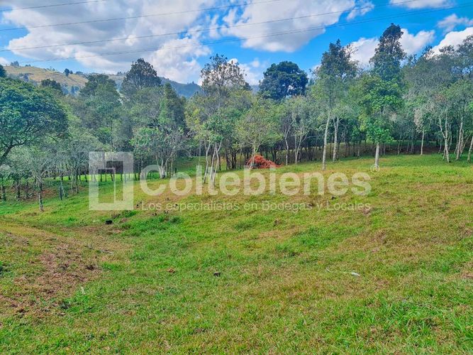 Lote en venta en La Hondita, Guarne, 10000 m² · foto 6 de 15