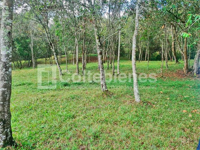Lote en venta en La Hondita, Guarne, 10000 m² · foto 7 de 15