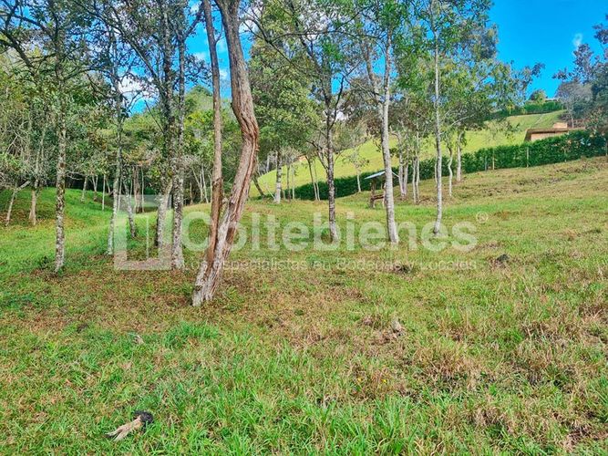 Lote en venta en La Hondita, Guarne, 10000 m² · foto 9 de 15