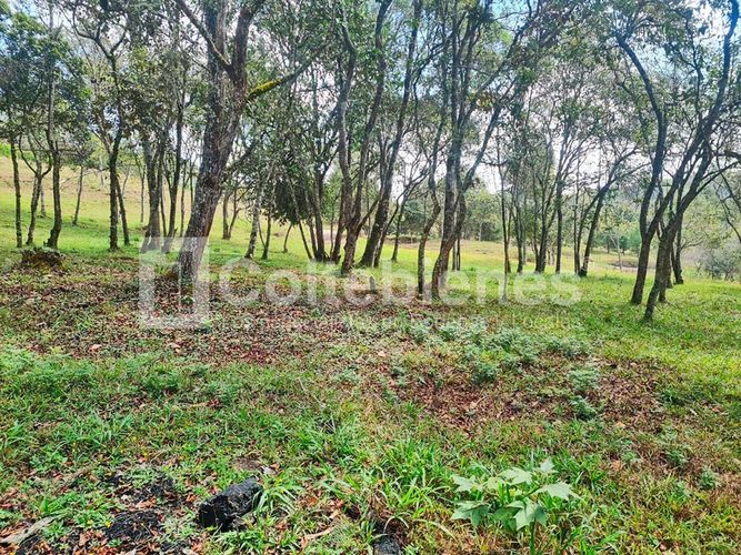 Lote en venta en La Hondita, Guarne, 10000 m² · foto 10 de 15