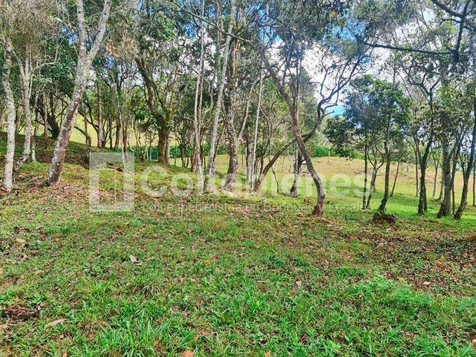 Lote en venta en La Hondita, Guarne, 10000 m² · foto 11 de 15
