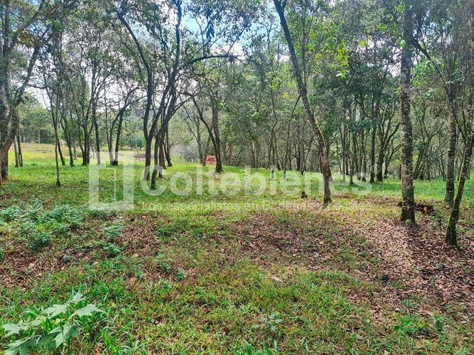Lote en venta en La Hondita, Guarne, 10000 m² · foto 12 de 15