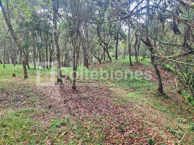 Lote en venta en La Hondita, Guarne, 10000 m² · foto 13 de 15