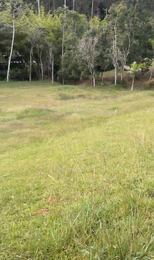Lote en venta en El Carmin, Rionegro, 2101 m² · foto 3 de 6