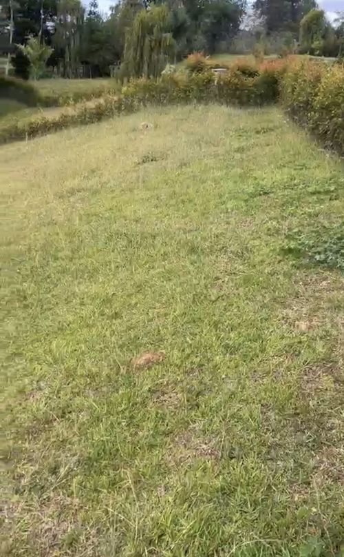 Lote en venta en El Carmin, Rionegro, 2101 m² · foto 4 de 6