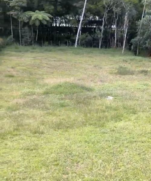 Lote en venta en El Carmin, Rionegro, 2101 m² · foto 6 de 6