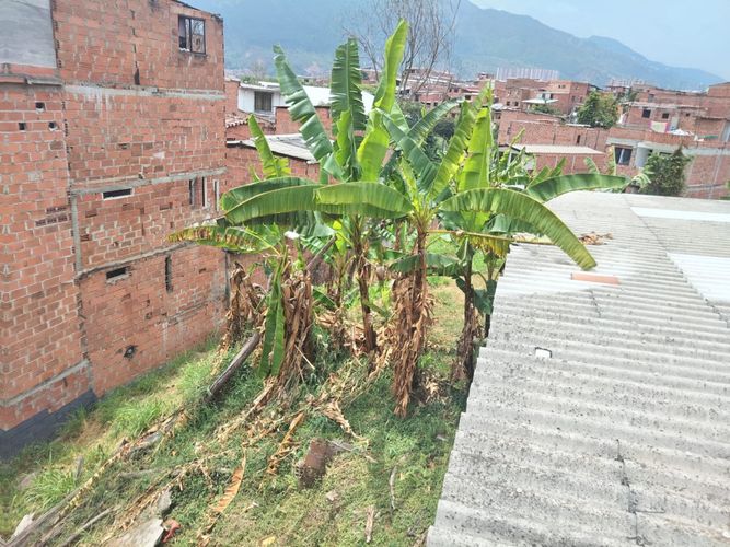 Casa de 8 alcobas en venta en Carmelo, Bello, 400 m² · foto 10 de 11