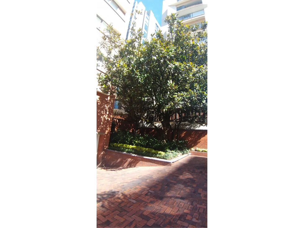 Apartamento en venta en El Nogal, Bogotá · foto 3 de 23