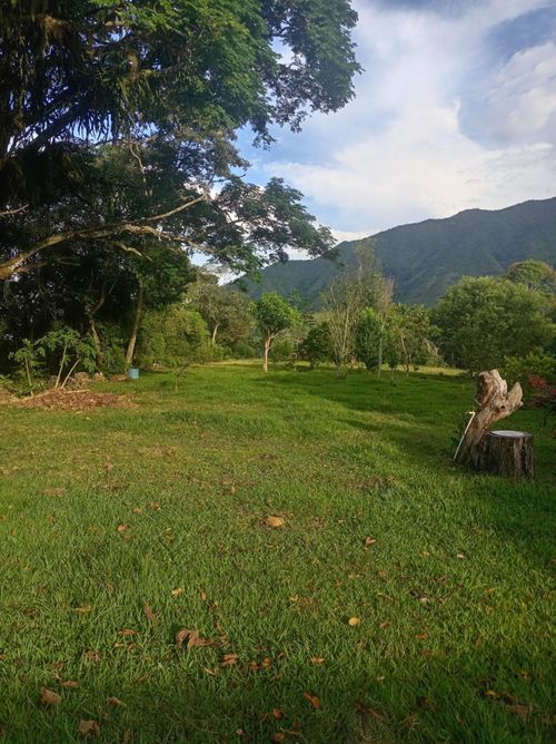 Casa de 3 alcobas en venta en Llanos De Combeima, Ibagué, 757 m² · foto 2 de 24