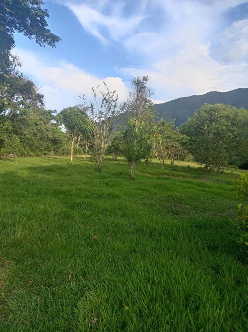 Casa de 3 alcobas en venta en Llanos De Combeima, Ibagué, 757 m² · foto 3 de 24
