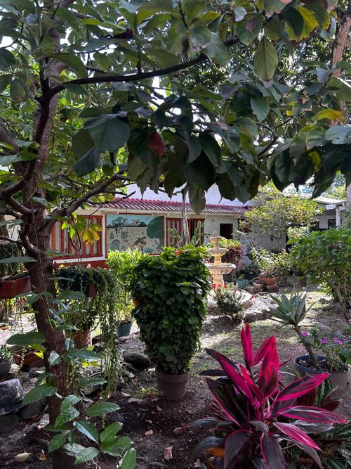 Casa de 3 alcobas en venta en Llanos De Combeima, Ibagué, 757 m² · foto 4 de 24