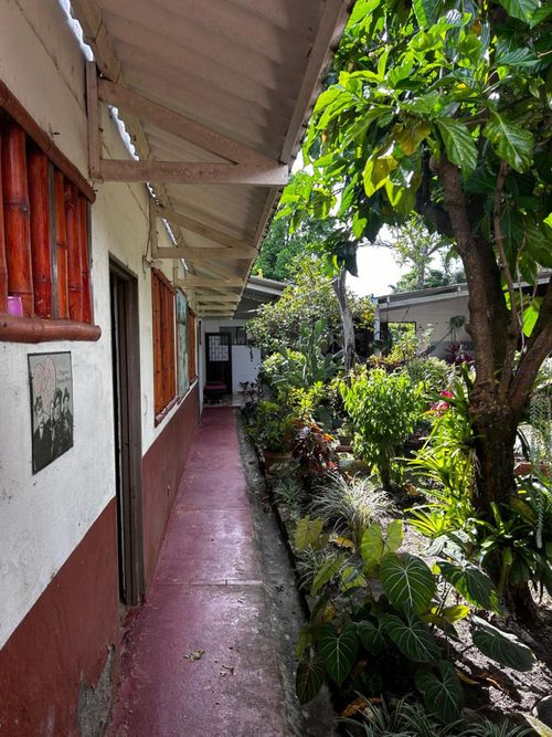 Casa de 3 alcobas en venta en Llanos De Combeima, Ibagué, 757 m² · foto 11 de 24