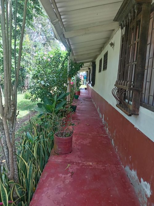 Casa de 3 alcobas en venta en Llanos De Combeima, Ibagué, 757 m² · foto 19 de 24