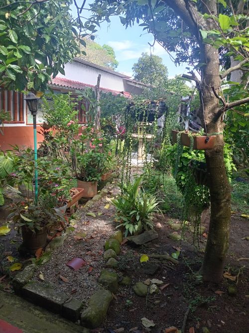 Casa de 3 alcobas en venta en Llanos De Combeima, Ibagué, 757 m² · foto 22 de 24