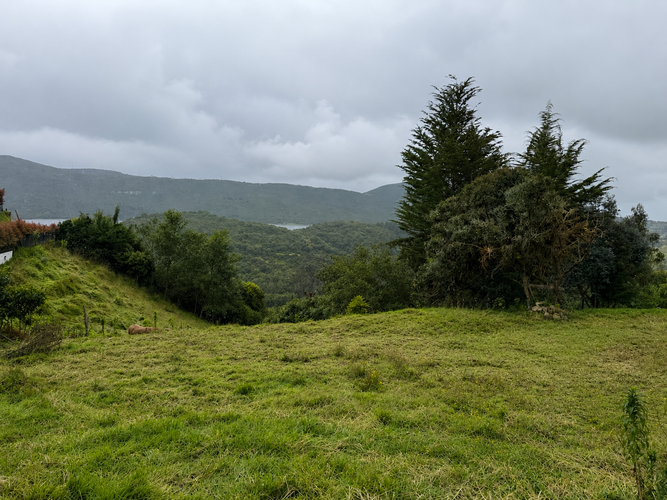 Lote en venta en San Rafael, La Calera, 3294 m² · foto 3 de 11