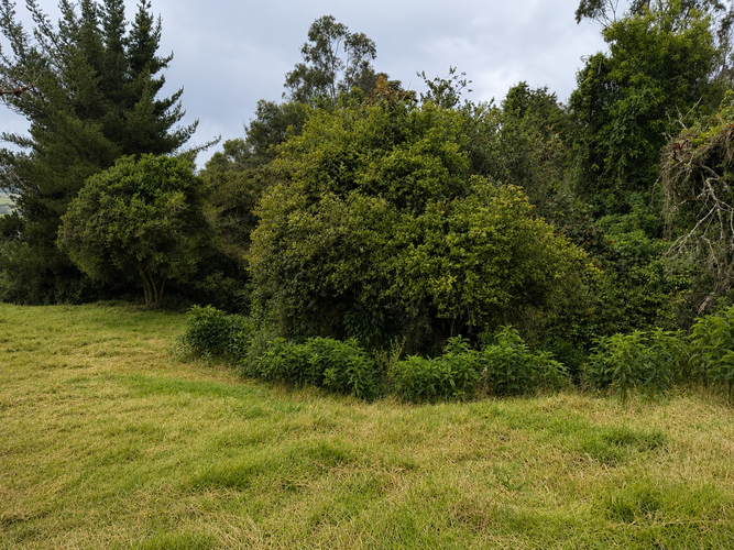 Lote en venta en San Rafael, La Calera, 3294 m² · foto 5 de 11