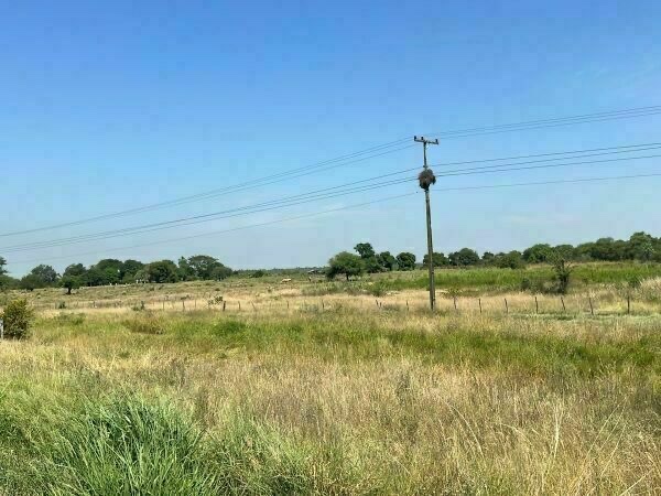 VENDO 121 HECTAREAS SOBRE RUTA EN PUERTO FALCON — foto 2