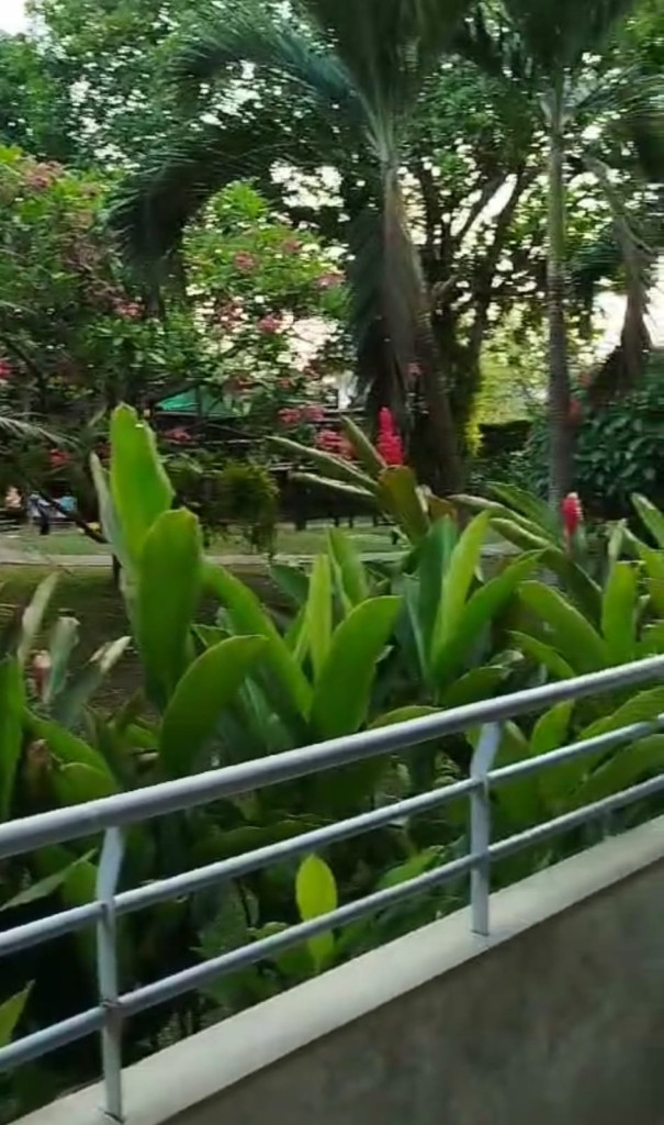 Apartamento en Venta en Cañasgordas, Cali