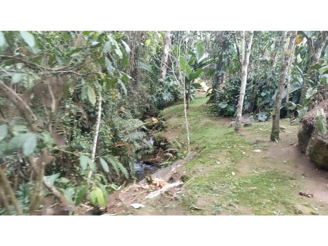 Finca en arriendo en Los Salados, El Retiro, 220 m² · foto 7 de 20