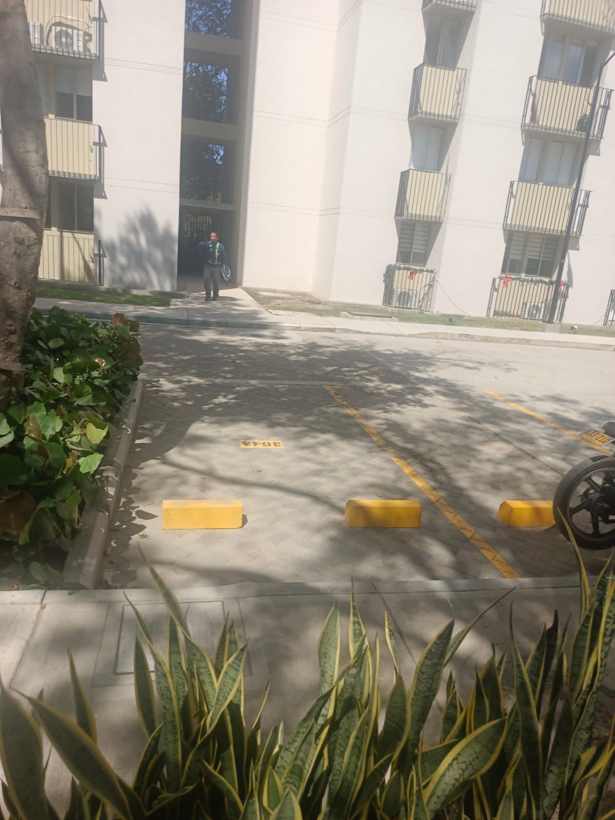 Apartamento en venta en Pozos Colorados, Santa Marta · foto 23 de 24