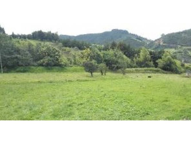 Lote en venta en La Portada, La Calera, 3497 m² · foto 6 de 13