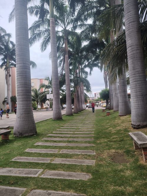 Apartamento de 3 alcobas en venta en Portachuela, Cúcuta, 64 m² · foto 13 de 17
