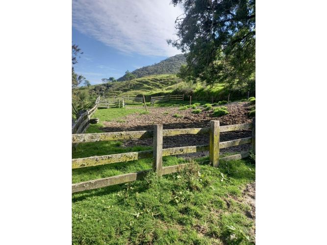 Finca en venta en Tenerife, Palmira, 200 m² · foto 4 de 24