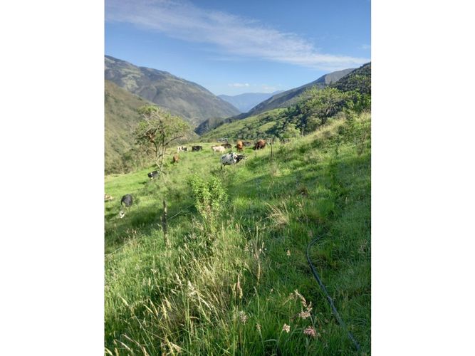 Finca en venta en Tenerife, Palmira, 200 m² · foto 5 de 24