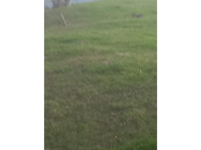 Finca en venta en Tenerife, Palmira, 200 m² · foto 6 de 24