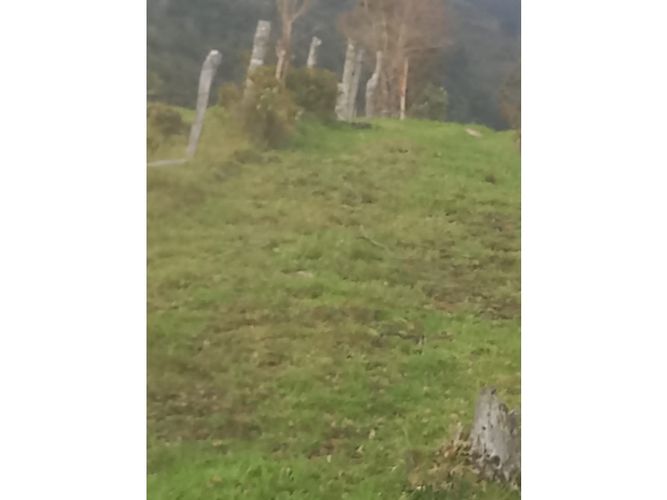Finca en venta en Tenerife, Palmira, 200 m² · foto 8 de 24