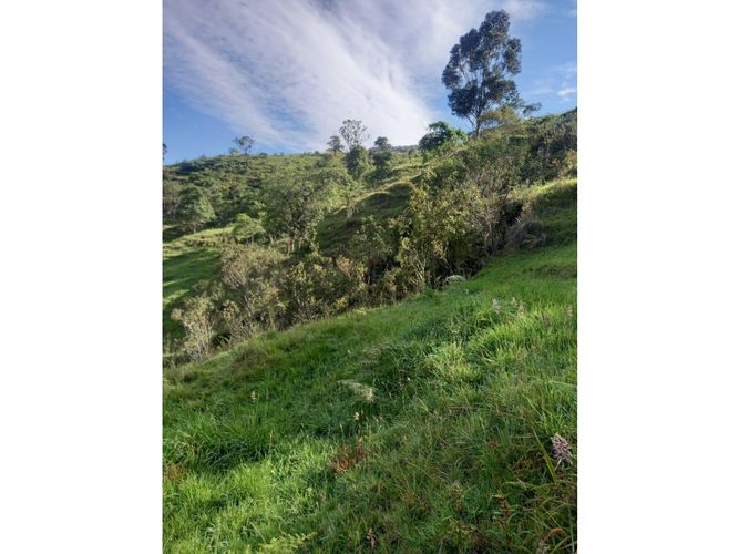Finca en venta en Tenerife, Palmira, 200 m² · foto 12 de 24
