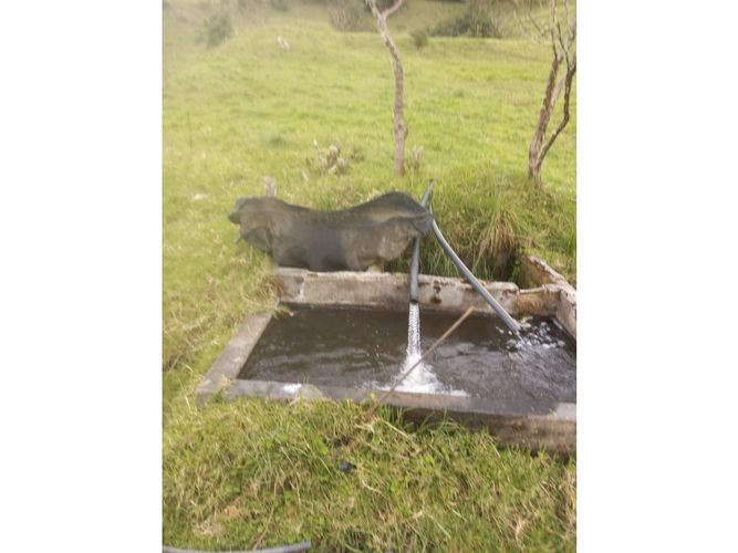 Finca en venta en Tenerife, Palmira, 200 m² · foto 13 de 24