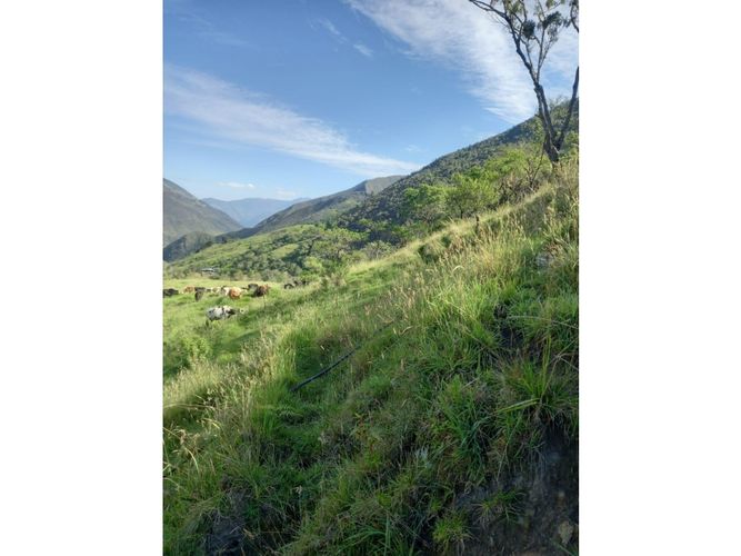 Finca en venta en Tenerife, Palmira, 200 m² · foto 14 de 24