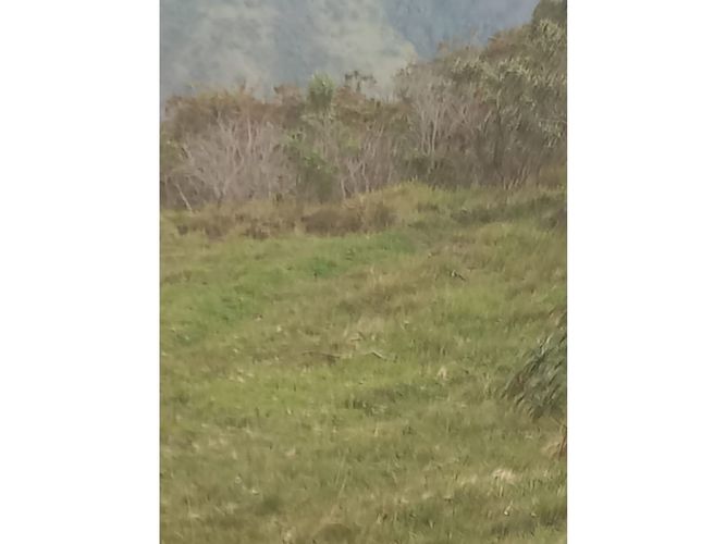 Finca en venta en Tenerife, Palmira, 200 m² · foto 17 de 24