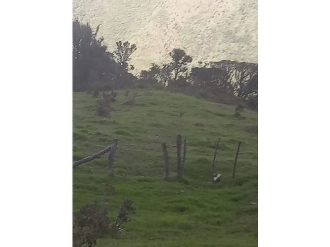 Finca en venta en Tenerife, Palmira, 200 m² · foto 19 de 24