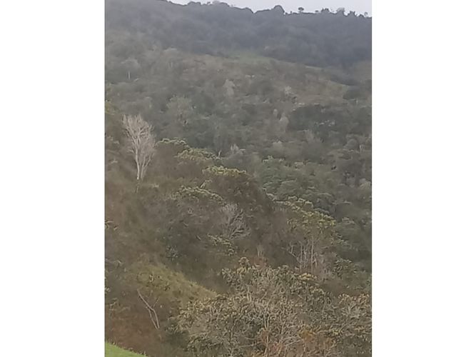 Finca en venta en Tenerife, Palmira, 200 m² · foto 21 de 24