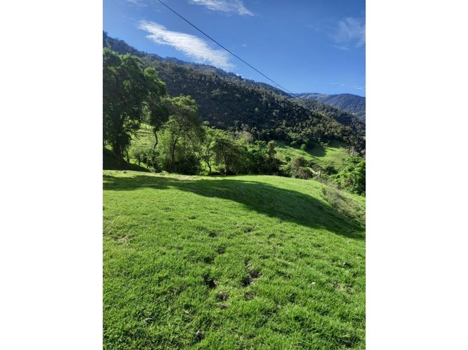 Finca en venta en Tenerife, Palmira, 200 m² · foto 22 de 24