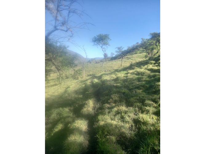 Finca en venta en Tenerife, Palmira, 200 m² · foto 23 de 24