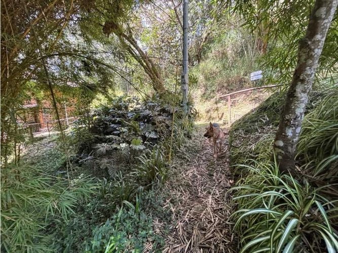 Casa de 5 alcobas en venta en Guarne, 335 m² · foto 17 de 21