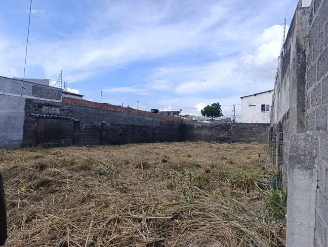 Lote en venta en Centro, Montería, 384 m² · foto 7 de 12