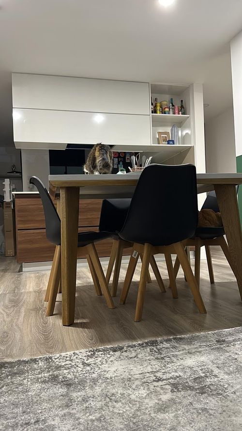 Apartamento en venta en El Contador, Bogotá · foto 4 de 16