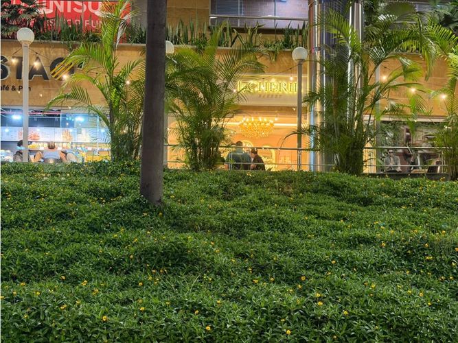 Local en venta en El Tesoro, Medellín, 53 m² · foto 4 de 4