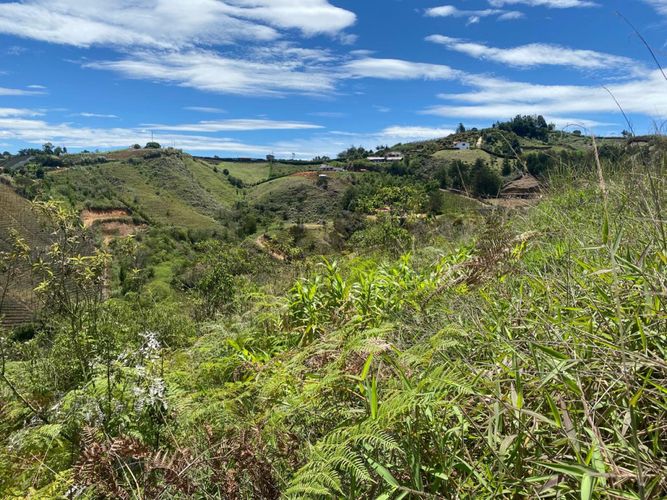 Lote en venta en Rio Abajo, Rionegro, 3334 m² · foto 3 de 5