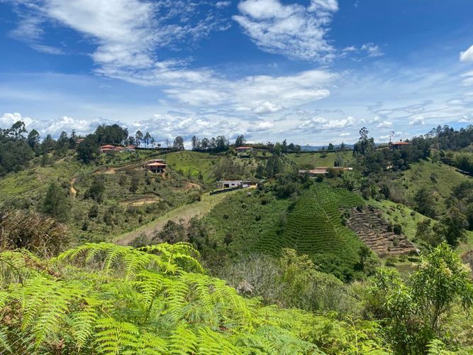 Lote en venta en Rio Abajo, Rionegro, 3334 m² · foto 4 de 5