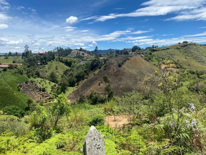 Lote en venta en Rio Abajo, Rionegro, 3334 m² · foto 5 de 5