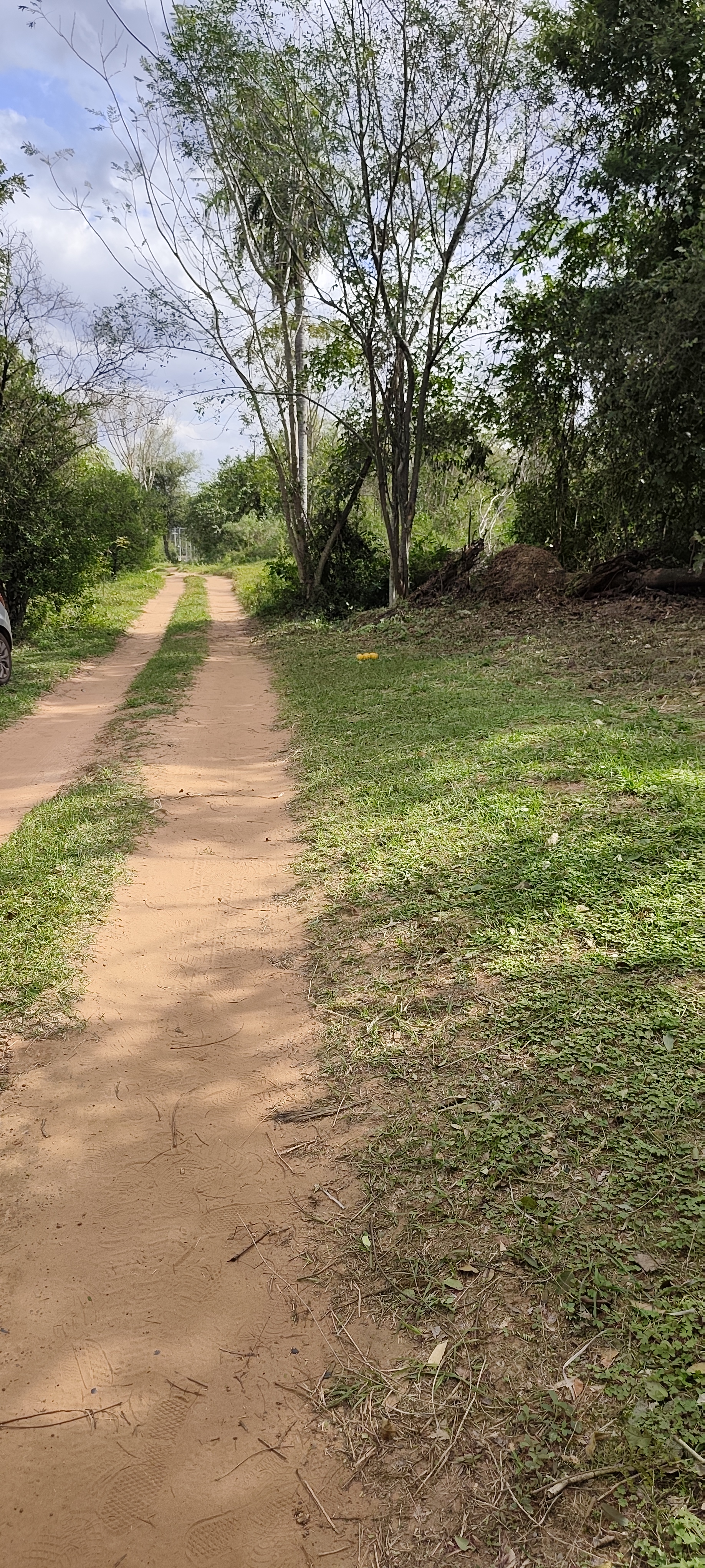 Amplio terreno en Loma Grande — foto 3